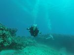 Hawaii Scuba divng 31