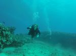 Hawaii Scuba divng 32