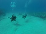 Hawaii Scuba divng 33