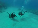 Hawaii Scuba divng 35