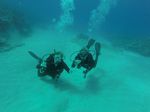 Hawaii Scuba divng 36