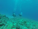 Hawaii Scuba divng 38