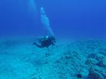 Hawaii Scuba divng 40