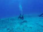 Hawaii Scuba divng 41