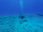 Hawaii Scuba divng 42