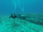 Hawaii Scuba divng 44