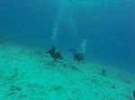 Hawaii Scuba divng 45