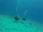 Hawaii Scuba divng 46