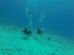 Hawaii Scuba divng 47