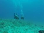 Hawaii Scuba divng 49