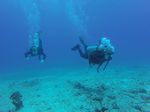 Hawaii Scuba divng 04