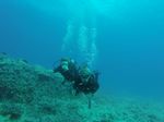 Hawaii Scuba divng 51