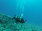 Hawaii Scuba divng 51