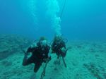 Hawaii Scuba divng 53