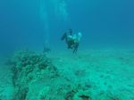 Hawaii Scuba divng 07