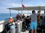 Scuba diving in Hawaii