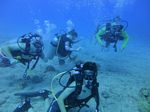 Hawaii Scuba divng 15