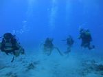 Hawaii Scuba divng 16