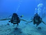 Hawaii Scuba divng 17