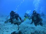 Hawaii Scuba divng 18