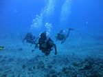 Hawaii Scuba divng 19