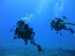 Hawaii Scuba divng 20