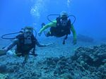 Hawaii Scuba divng 21