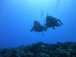 Hawaii Scuba divng 22