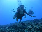 Hawaii Scuba divng 23