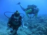 Hawaii Scuba divng 24