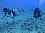 Hawaii Scuba divng 25