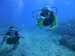 Hawaii Scuba divng 26