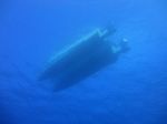 Hawaii Scuba divng 29