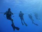 Hawaii Scuba divng 33