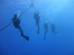 Hawaii Scuba divng 34