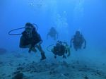 Hawaii Scuba divng 38