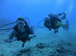 Hawaii Scuba divng 39