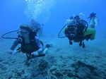 Hawaii Scuba divng 41