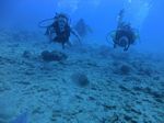 Hawaii Scuba divng 42