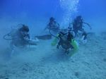 Hawaii Scuba divng 43