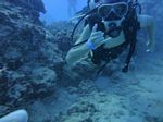 Hawaii Scuba divng 60