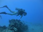 Hawaii Scuba divng 61