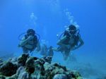 Hawaii Scuba divng 63