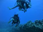 Hawaii Scuba divng 67