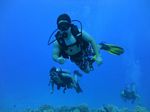 Hawaii Scuba divng 70