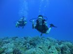 Hawaii Scuba divng 71