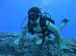 Hawaii Scuba divng 72