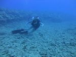 Hawaii Scuba divng 74