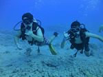 Hawaii Scuba divng 75