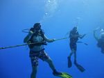 Hawaii Scuba divng 07